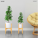 Plant Stand Adjustable Wood Flower Pot Holder Display Rack - SortWise™