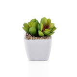 Small Green Plastic Artificial Succulent Plants in Mini Plastic Pots, Random Style, 1Pc/Pack