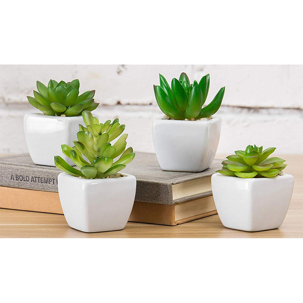 plastic pots for succulents Small Green Plastic Artificial Succulent Plants in Mini Plastic Pots, – TOP TRADE CANADA