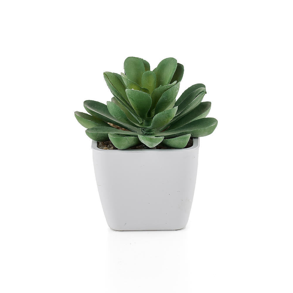 small potted fake succulents Small Green Plastic Artificial Succulent Plants in Mini Plastic Pots, – TOP TRADE CANADA