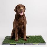 Potty Patch Toilettes intérieures pour chiens, 27"X 34" - Patte d'argent 