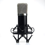 BM-700 Professional Studio Broadcasting&Recording Condenser Microphone Set (Black)